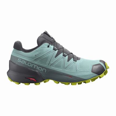 Salomon SPEEDCROSS 5 GORE-TEX - Naisten Polkujuoksukengät - Turkoosi/TummanHarmaat